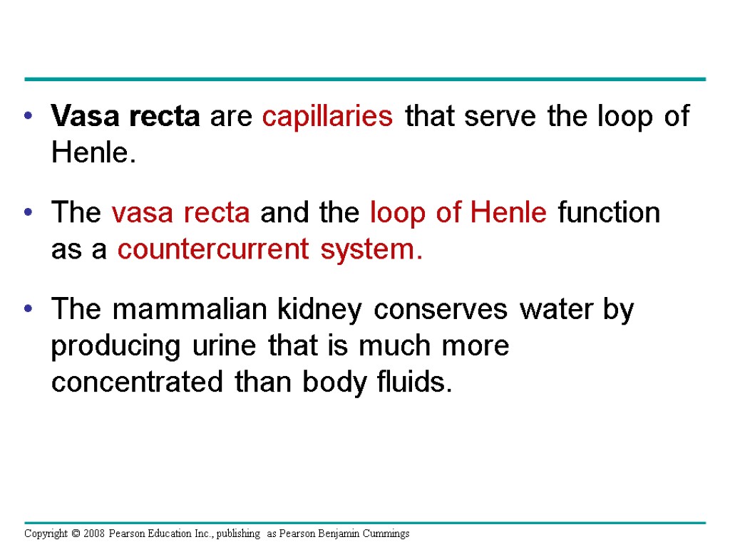 Vasa recta are capillaries that serve the loop of Henle. The vasa recta and